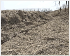  2025Ÿ62568  ֽ  ֿ 354-12      (1)