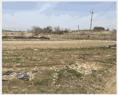  2025Ÿ62568  ֽ  ֿ 354-12      (1)