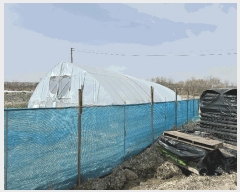  2025Ÿ62568  ֽ  ֿ 354-12      (1)