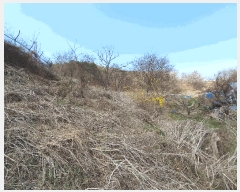  2025Ÿ62678  ֽ  ָ 322-4      (1)