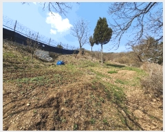  2025Ÿ62678  ֽ  ָ 322-4      (1)