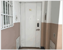  2025Ÿ63028   ϻ굿 鼮 1194 򵹸1 102 252506ȣ   Ʈ