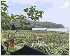  2025Ÿ��63397 ��� ����� ���籸 ��õ�� 291-2      ����(��1)���