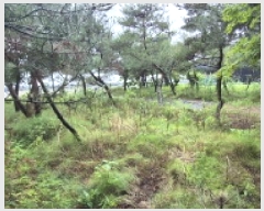  2025Ÿ��63397 ��� ����� ���籸 ��õ�� 291-2      ����(��1)���