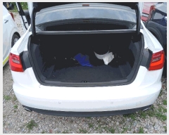  2025Ÿ63474 ֽ  ɾȸ 239       