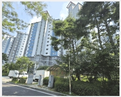  2025Ÿ��63491 ��� ���ֽ� �ߴ絿 1026 �Ѻ�����7���� 717�� 15��1501ȣ    ����Ʈ���