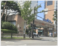  2025Ÿ��63534  ����Ʈ���