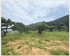  2025Ÿ��63644 ��� ���ֽ� ��ź�� �Ż긮 329-8      ����(��)���