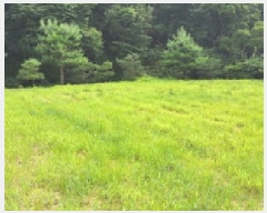  2025Ÿ��63644 ��� ���ֽ� ��ź�� �Ż긮 329-8      ����(��)���