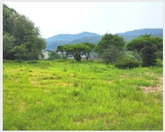  2025Ÿ��63644 ��� ���ֽ� ��ź�� �Ż긮 329-8      ����(��)���