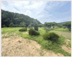  2025Ÿ��63644 ��� ���ֽ� ��ź�� �Ż긮 329-8      ����(��)���