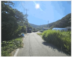  2025Ÿ��63733 ��� ���ֽ� ������ ���߸� ��81-2      ����(�Ӿ�)���