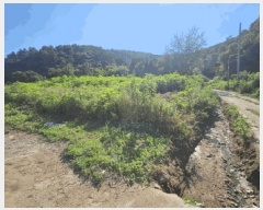  2025Ÿ��63733 ��� ���ֽ� ������ ���߸� ��81-2      ����(�Ӿ�)���