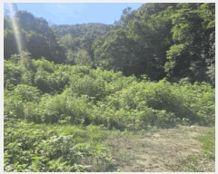  2025Ÿ��63733 ��� ���ֽ� ������ ���߸� ��81-2      ����(�Ӿ�)���