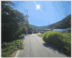  2025Ÿ��63733 ��� ���ֽ� ������ ���߸� ��81-2      ����(�Ӿ�)���