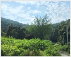  2025Ÿ��63733 ��� ���ֽ� ������ ���߸� ��81-2      ����(�Ӿ�)���