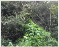  2025Ÿ��63733 ��� ���ֽ� ������ ���߸� ��81-2      ����(�Ӿ�)���