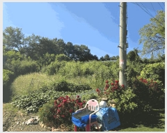  2025Ÿ��63974  �������