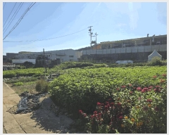  2025Ÿ��63974  �������