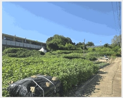  2025Ÿ��63974  �������