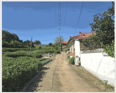  2025Ÿ��63974  �������