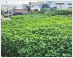  2025Ÿ��63974  �������