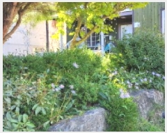  2025Ÿ��64088 ��� ���ֽ� ������ ������ 242-34      ���ð��