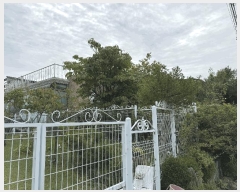  2025Ÿ��64124  ���ð��