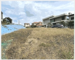  2025Ÿ��64210 ��� ���ֽ� �곲�� 35-107       ����(�Ӿ�)���