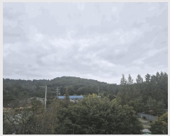  2025Ÿ��64381  �ټ���(����)���