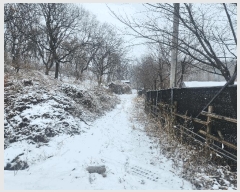  2025Ÿ��743  �����