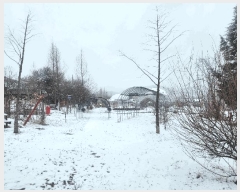  2025Ÿ��743  �����