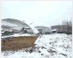  2025Ÿ��743  �����