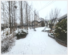  2025Ÿ��743  �����