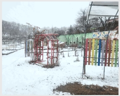  2025Ÿ��743  �����