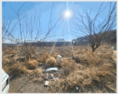  2025Ÿ��804 ��� ����� �ϻ굿�� ������ 2094      ����(��)���