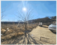  2025Ÿ��804 ��� ����� �ϻ굿�� ������ 2094      ����(��)���