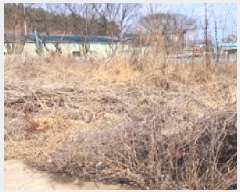  2025Ÿ��804 ��� ����� �ϻ굿�� ������ 2094      ����(��)���