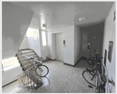  2025Ÿ��927 ��� ����� �ϻ굿�� ���ε� 783 ���̸�������Ʈ 211�� 13��1301ȣ   ����Ʈ���