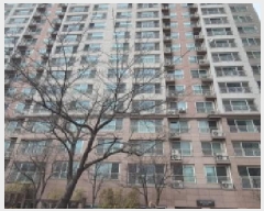  2025Ÿ��1050  ����Ʈ���