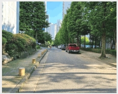  2025Ÿ��4042  ����Ʈ���