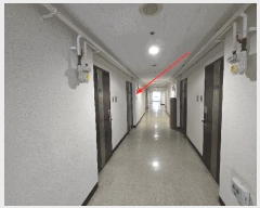  2025Ÿ��4219  ���ǽ��ڰ��