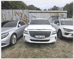  2025Ÿ��5793 ���ֽ� ������ �ɾȸ� 239       �������