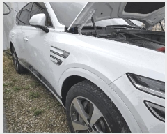  2025Ÿ��5793 ���ֽ� ������ �ɾȸ� 239       �������