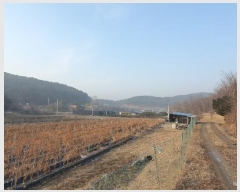  2025Ÿ60028  ֽ ź ݻ긮 368      ()