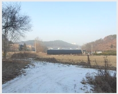  2025Ÿ60028  ֽ ź ݻ긮 368      ()