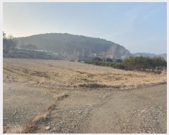  2025Ÿ60028  ֽ ź ݻ긮 368      ()