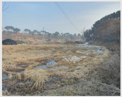  2025Ÿ60028  ֽ ź ݻ긮 368      ()