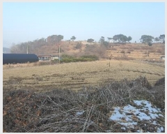  2025Ÿ60028  ֽ ź ݻ긮 368      ()