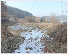  2025Ÿ60028  ֽ ź ݻ긮 368      ()